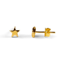 Star Stud Earrings In Silver With 24ct Gold